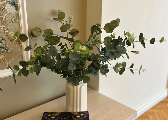 Savimaee Puhkemaja *